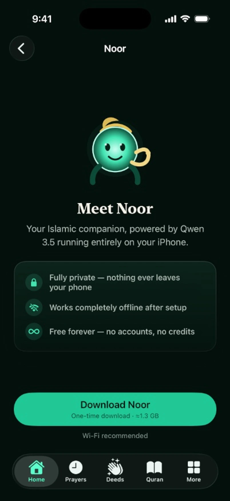 Noor setup screen explaining private on-device and offline processing
